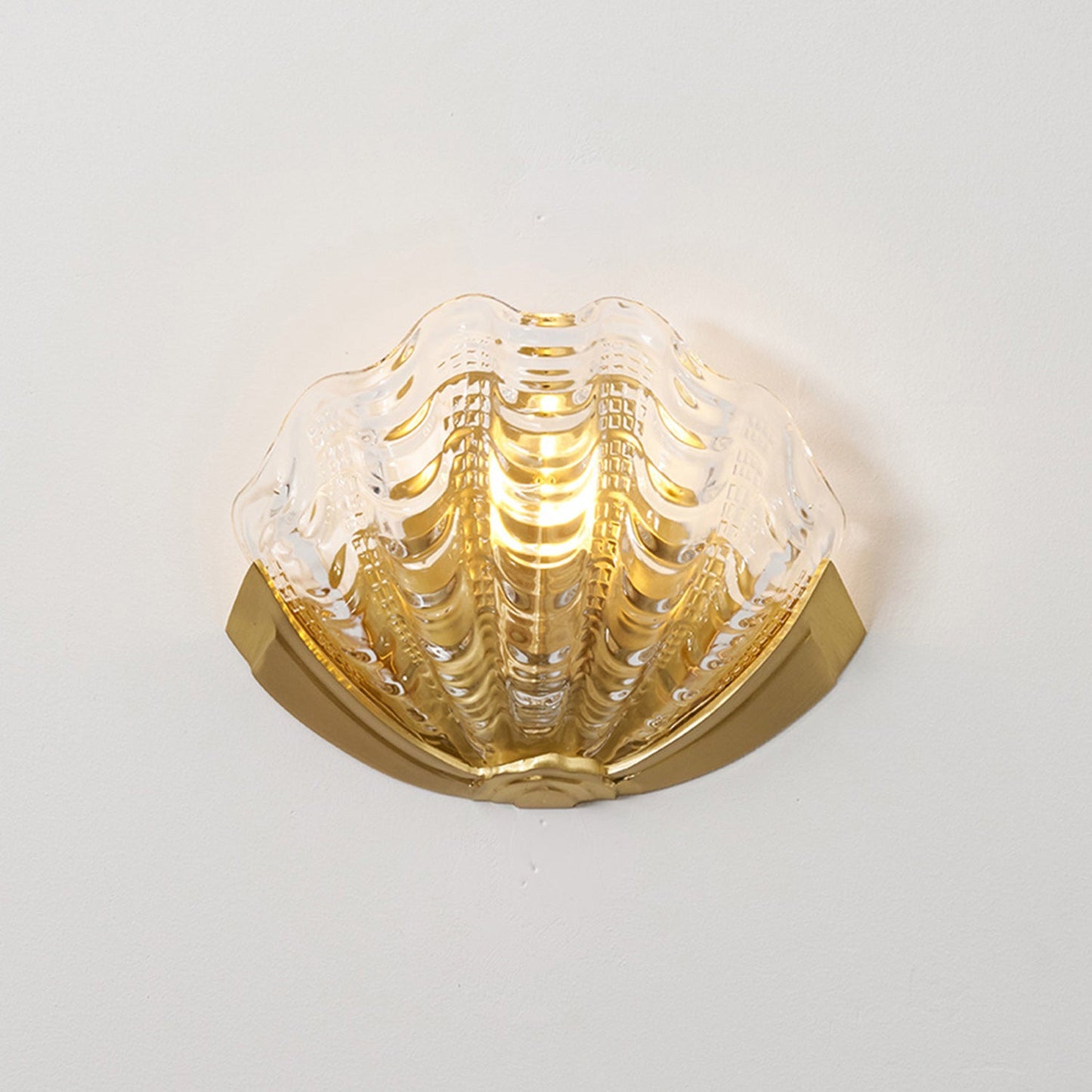 Applique Murale Coquillage en Verre – Art Contemporain & Lumière Sculptée