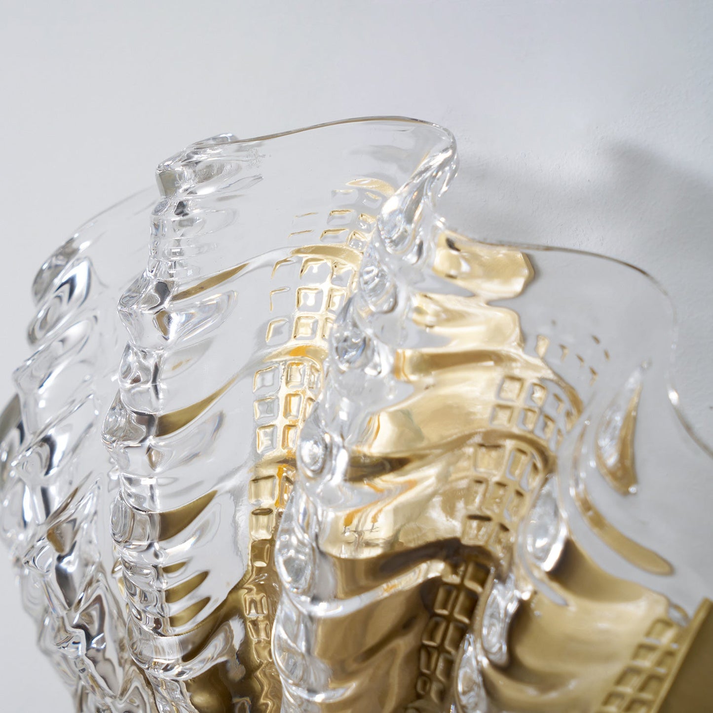 Applique Murale Coquillage en Verre – Art Contemporain & Lumière Sculptée