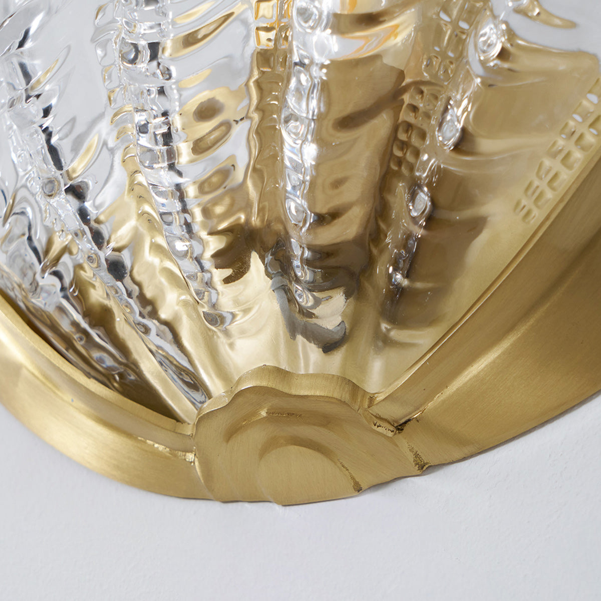 Applique Murale Coquillage en Verre – Art Contemporain & Lumière Sculptée