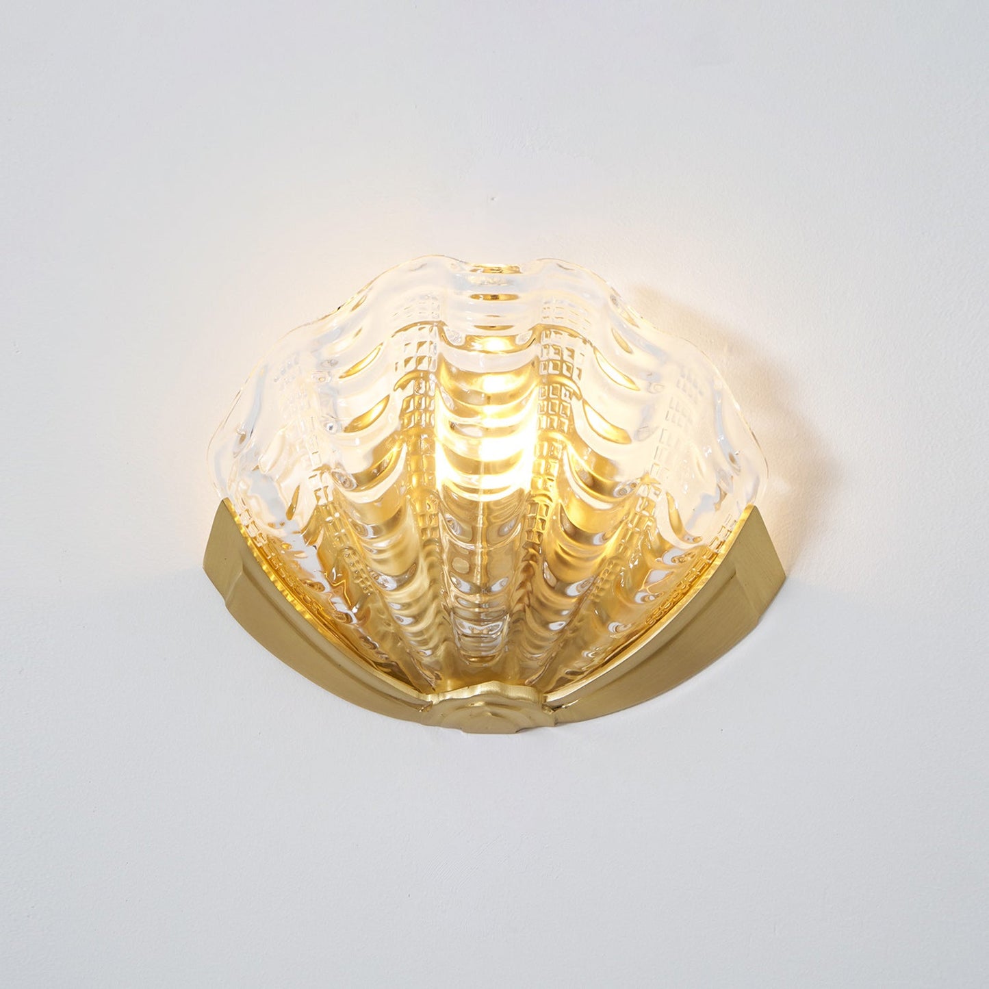 Applique Murale Coquillage en Verre – Art Contemporain & Lumière Sculptée