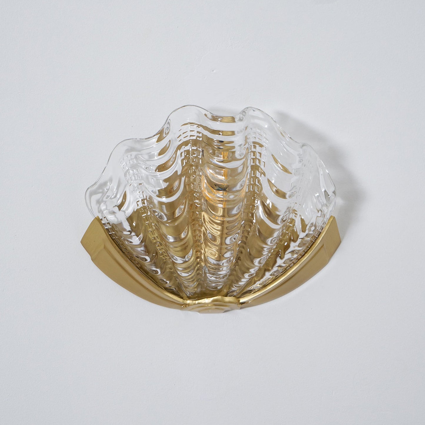 Applique Murale Coquillage en Verre – Art Contemporain & Lumière Sculptée