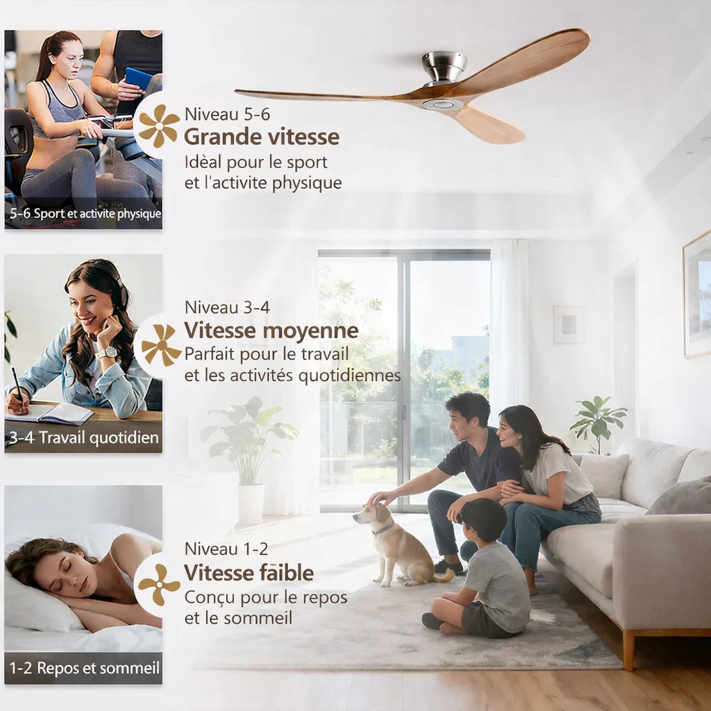 Ventilateur de Plafond en Bois Massif – Bois Naturel et Argent